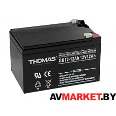 Аккумуляторная батарея АКБ Thomas GB 12-12Ah 12V12Ah к элекровелосипеду Китай 