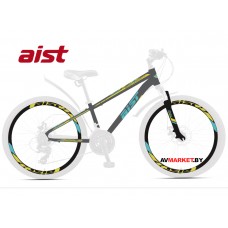 Велосипед горный Aist Rocky Junior 24" 1.1 серый 2021 4810310013265 Республика Беларусь