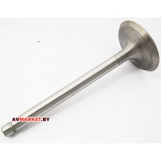 Впускной клапан 186F дизельный