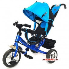 Велосипед детский трехколёсный FAVORIT TRIKE CLASSIC пластм. диски FTC-108E-1 Китай